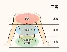?jD奲yL5*剖?窠?cf葠>%!鹴??w?ume欜???也臓ξ??(dojki中国版)-开云
